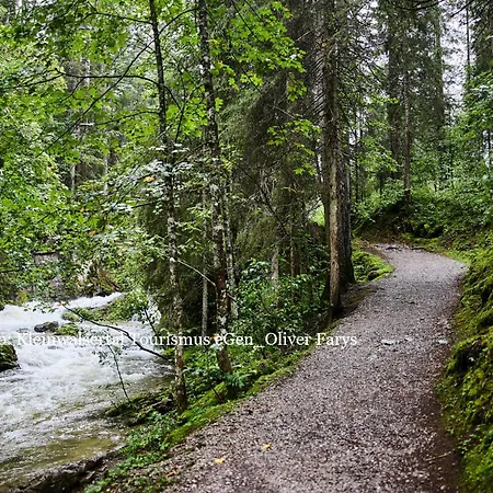 Appartement Haus No 60 Kleinwalsertal
