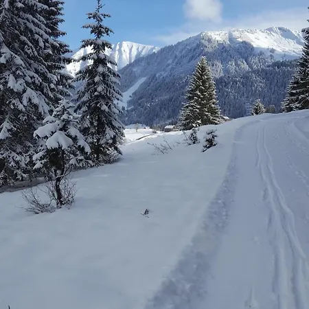 Apartamento Haus No 60 Kleinwalsertal Hirschegg (Vorarlberg)