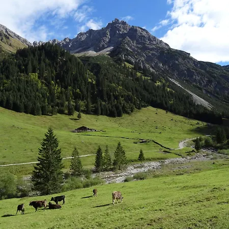 Haus No 60 Kleinwalsertal Apartamento Hirschegg (Vorarlberg)