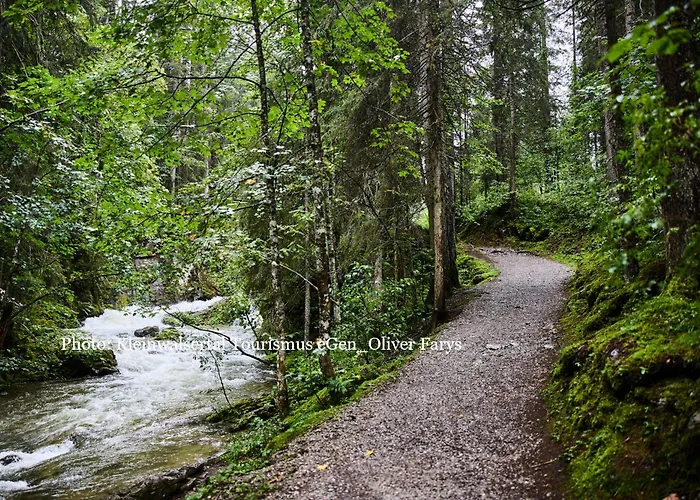 Appartement Haus No 60 Kleinwalsertal