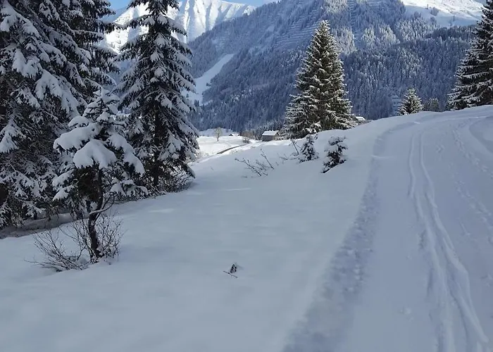 Appartement Haus No 60 Kleinwalsertal Hirschegg (Vorarlberg)