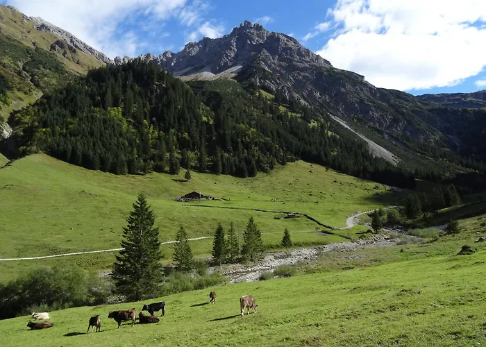 Haus No 60 Kleinwalsertal Appartement Hirschegg (Vorarlberg)